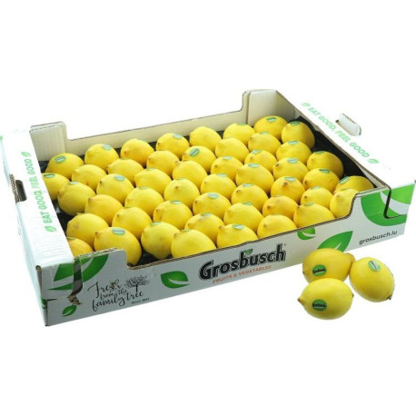CITRON NON TRAITE GROSBUSCH PLATEAU 45PCS